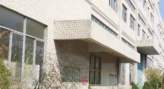 惠南高新区原房东低价急租独院标准厂房10500平一楼层高6米