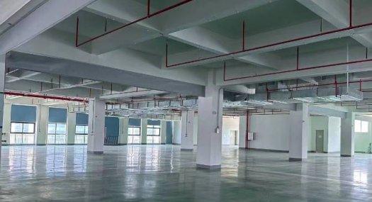 惠州惠东 三栋数码园金达路 30000㎡ 厂房租售 可分租