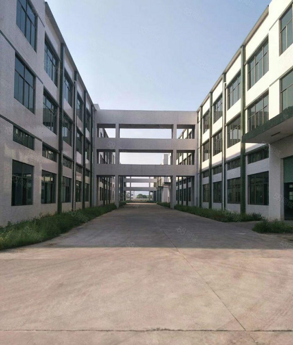 惠州食品园区有天然气可排水8块钱一平可分租