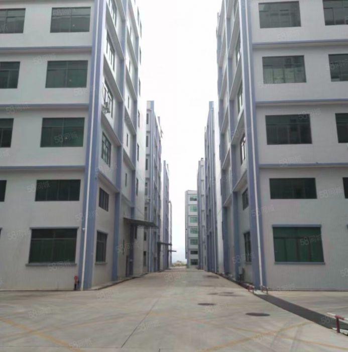 惠州市龙门全新厂房只租5元10000平方1500平方起租