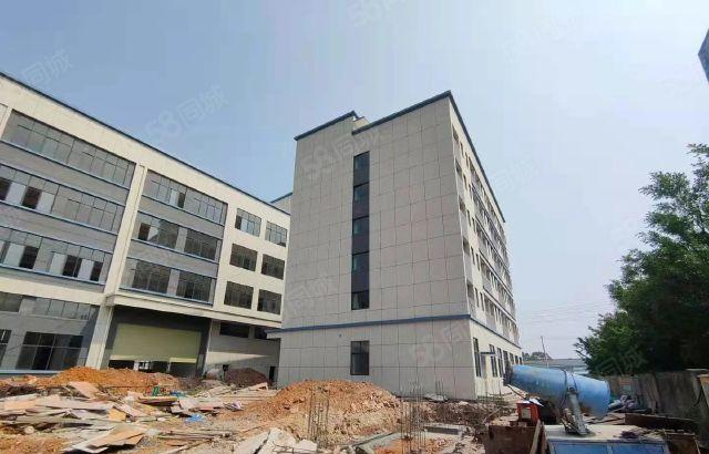 水口仲恺高新区全新独栋标准厂房4层6880平证件齐全可分租