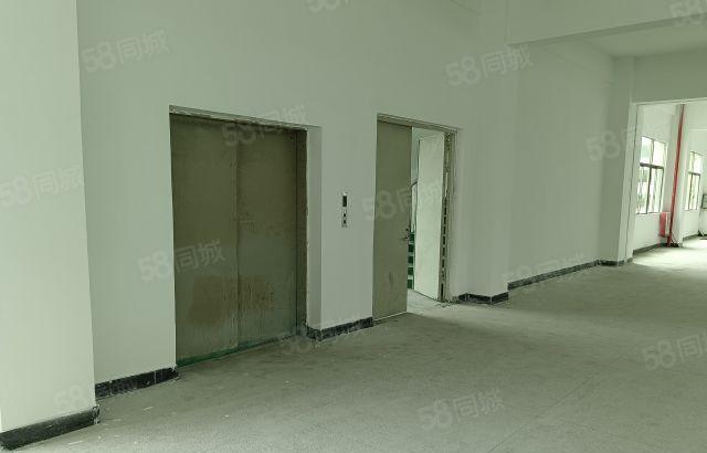 惠城区汝湖镇独栋独院原房东红本全新厂房直租