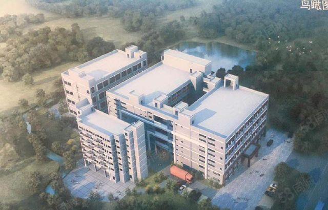 惠城区汝湖镇独栋独院原房东红本全新厂房直租