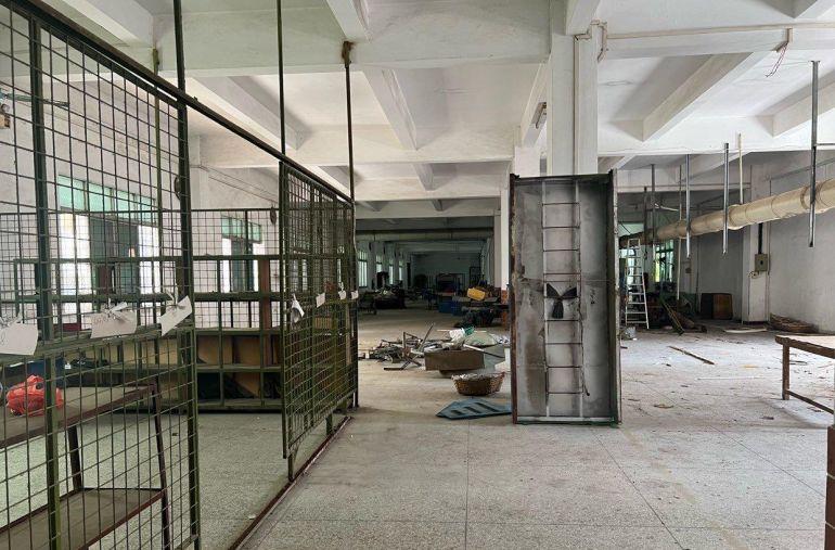 厂房大小可以分租，自家公司厂房