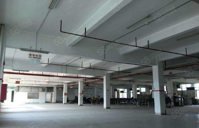 三栋数码园 花园式 独门独院1万平方标准厂房出租 大小可分租