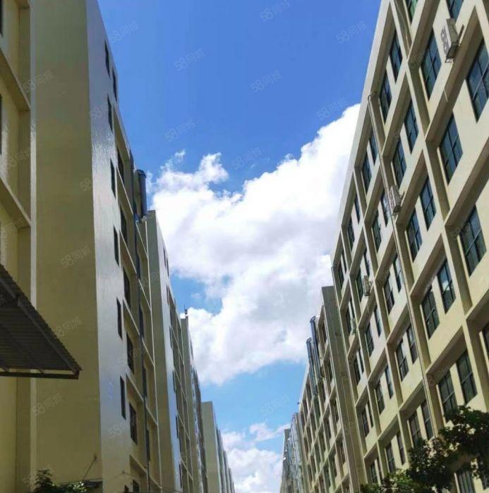 靓惠州龙门2千至2万厂房5元每平米招租