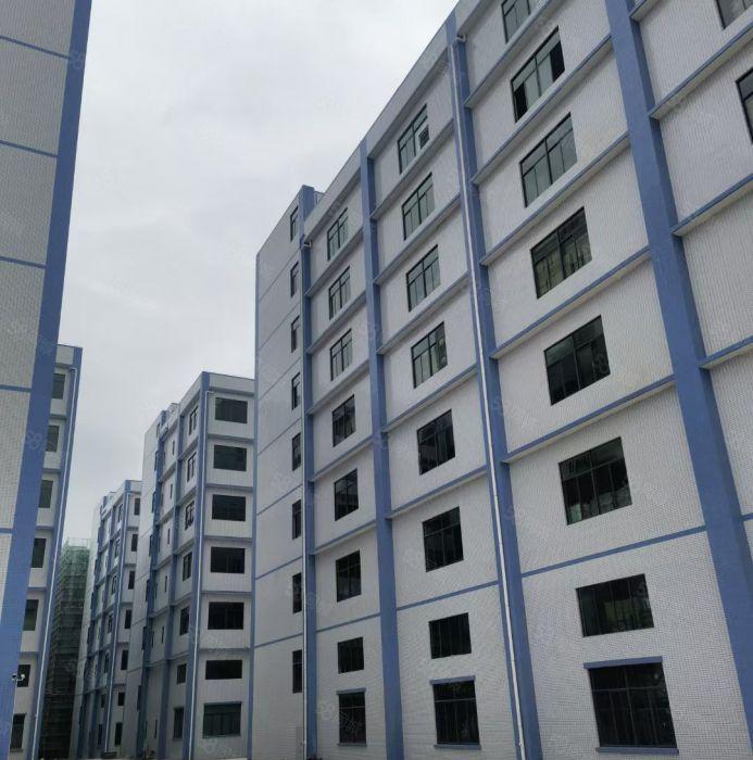 靓惠州龙门2千至2万厂房5元每平米招租