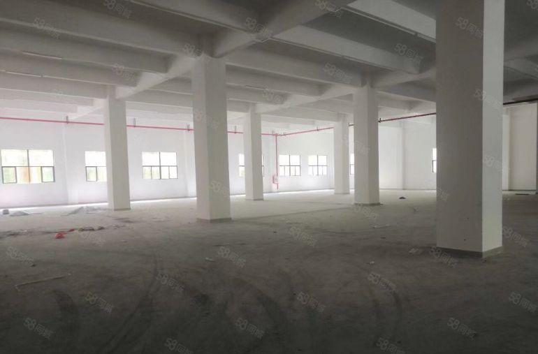 靓惠州龙门2千至2万厂房5元每平米招租