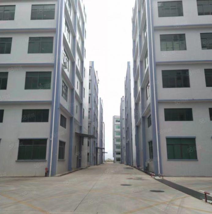 6元原房东全新标准厂房0公摊出租只要看上免租期长