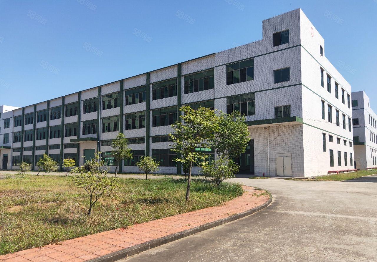 惠州食品园区有天然气可排水8块钱一平可分租