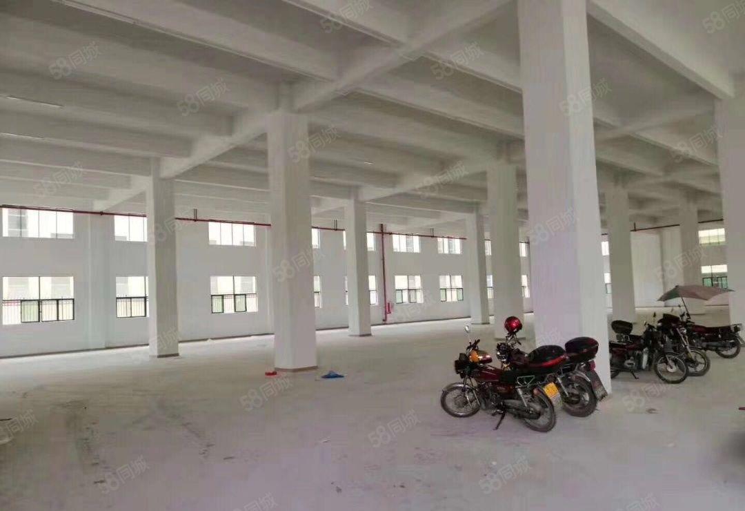 惠州市龙门县大型产业园50万分租可做污染行业原房东红本