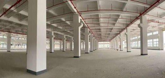 大亚湾原房东急租全新独院标准厂房29000平1楼7M带牛角