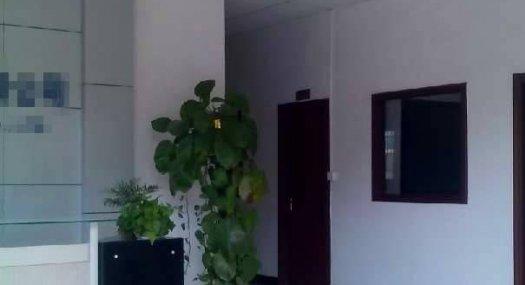 惠州博罗 1500㎡ 标准厂房 租售 层高5米 配电容量150千伏安 可做环评