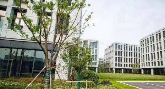 浙江义乌工业厂房出售 600-5000平独栋户型 50年产权 独门独户