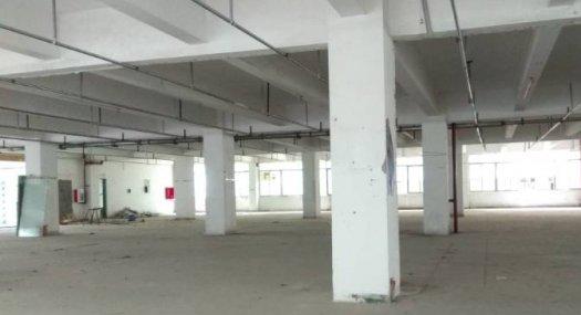 深圳南山 南海大道1800㎡ 厂房出租层高5米 独院 可分租仓储物流配送优选地