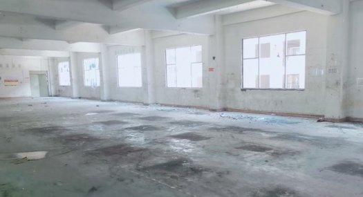 深圳龙岗 大鹏新区3000㎡ 厂房租售层高5.5米 独院 可环评 可分租，价格10元