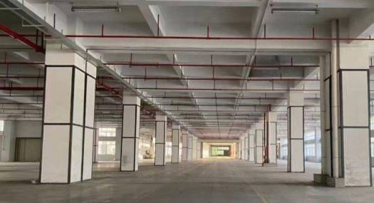 深圳宝安 5000㎡ 厂房租售层高8米 跨度46米 柱距11米 配电2588KVA 独院 有蒸汽 有燃气 可环评 可分租