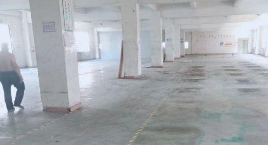 深圳龙岗 大鹏新区3000㎡ 厂房租售层高5.5米 独院 可环评 可分租，价格10元