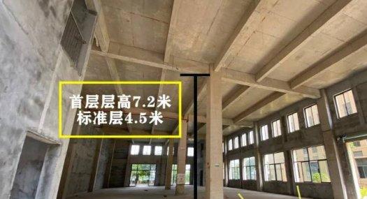 江门325国道4800㎡ 框架厂房出售层高8米 跨度64米 可环评