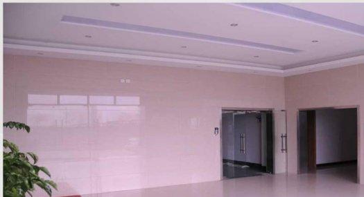 自贸区核心 厂房 出售 年收益率高达13%