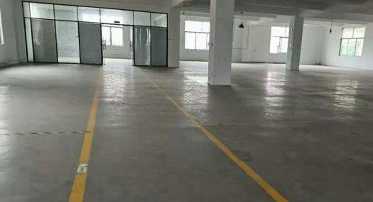 深圳盐田 北海道6000㎡ 厂房租售层高5.4米 独院 可分租