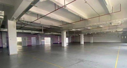 深圳光明·独门独院58888㎡ 厂房出租 独院 可环评