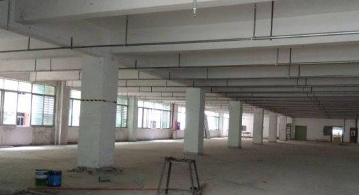 深圳南山 南海大道1800㎡ 厂房出租层高5米 独院 可分租仓储物流配送优选地