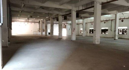 深圳龙岗 21500㎡ 厂房租售层高6.5米 配电630KVA 独院 可环评 可分租