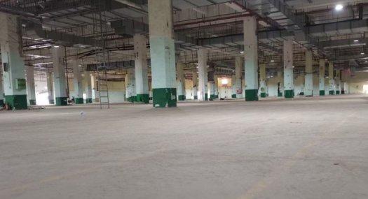 深圳 大鹏80000㎡ 厂房出租，离盐田港近 价格15元一平