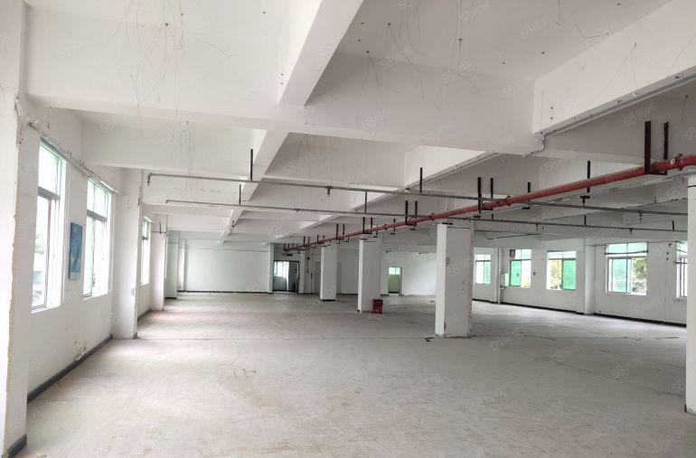 葵涌厂房独门独院业主直租