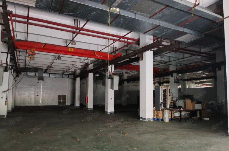 大鹏新区新出60000平钢构滴水11米，空地大货车可掉头，1