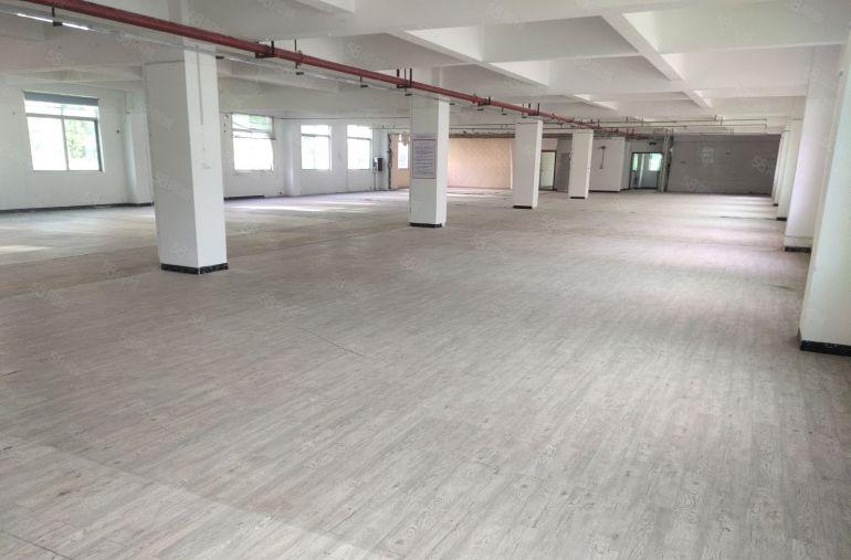 葵涌4000平方厂房仓库办公业主直租