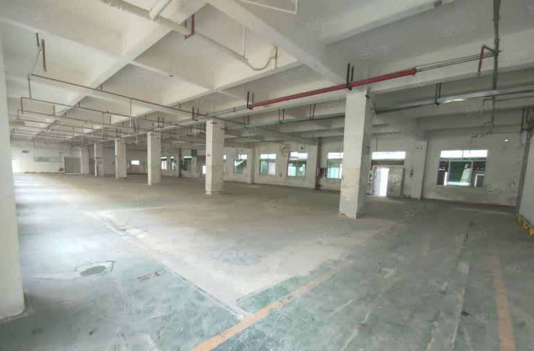 葵涌大鹏独门独院3900平厂房出租，精装修水电齐全到车间