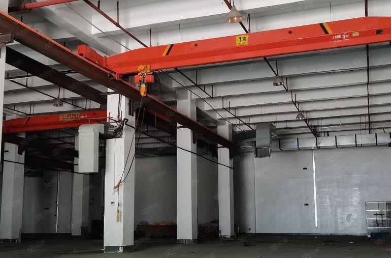 高7米大鹏新区布新路工业大道红本重工业2300平门前空地超大