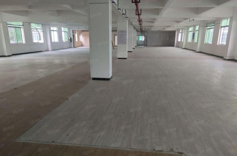 葵涌厂房独门独院业主直租