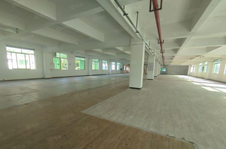 葵涌大鹏独门独院3900平厂房出租，精装修水电齐全到车间