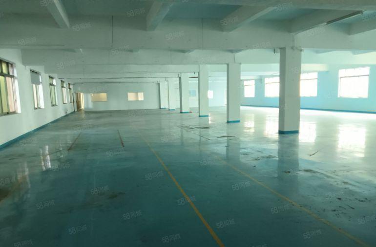 南城中心区周边  厂房出租有300平方500平方2800平方