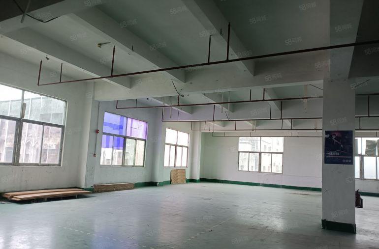 南城车站附近1200方厂房仓库写字楼低价出租