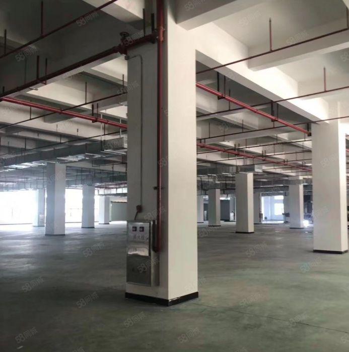 东城 温塘 全新厂房 共5000平方，10元急租