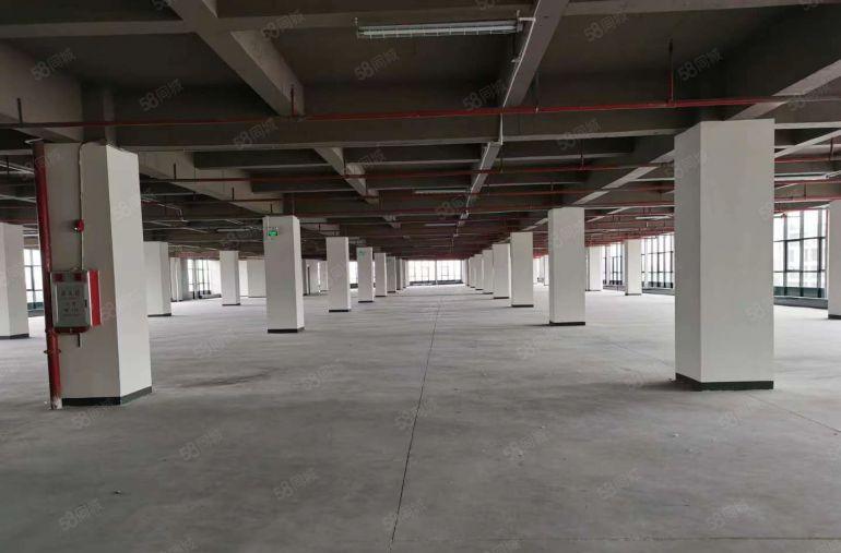 东城低价厂房出租 空地大 水电齐全 地坪漆 办公室