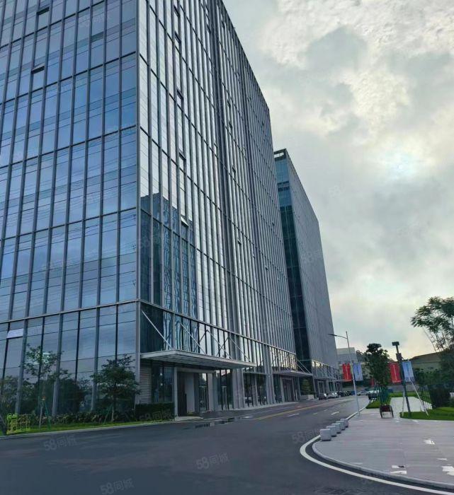 全新落地玻璃精装修写字楼平价出租