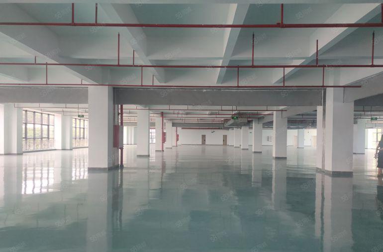 石碣2000平方原房东红本厂房出租500平方起分租可办环评