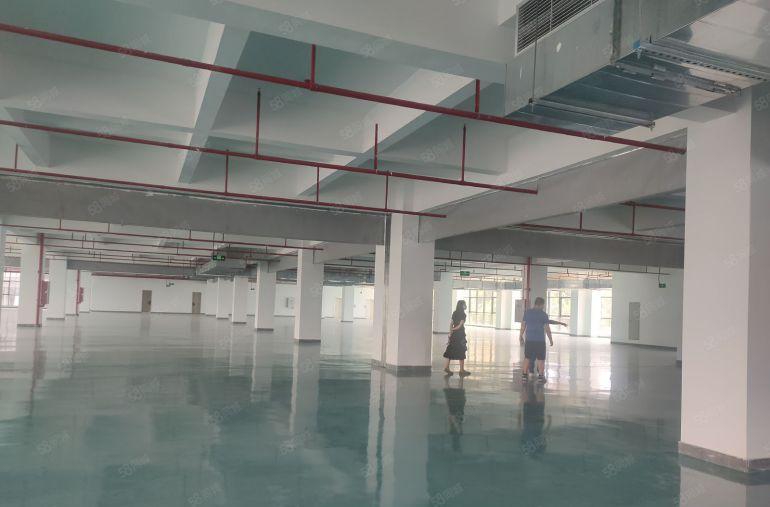 石碣2000平方原房东红本厂房出租500平方起分租可办环评