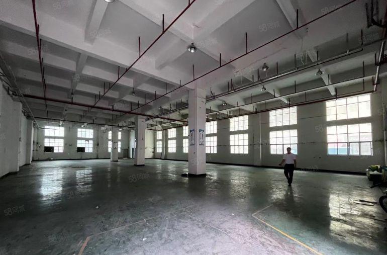 原房东独门独院实际面积出租带有无尘车间