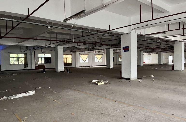 虎门赤岗新出独门独院2280平大园区靓厂房