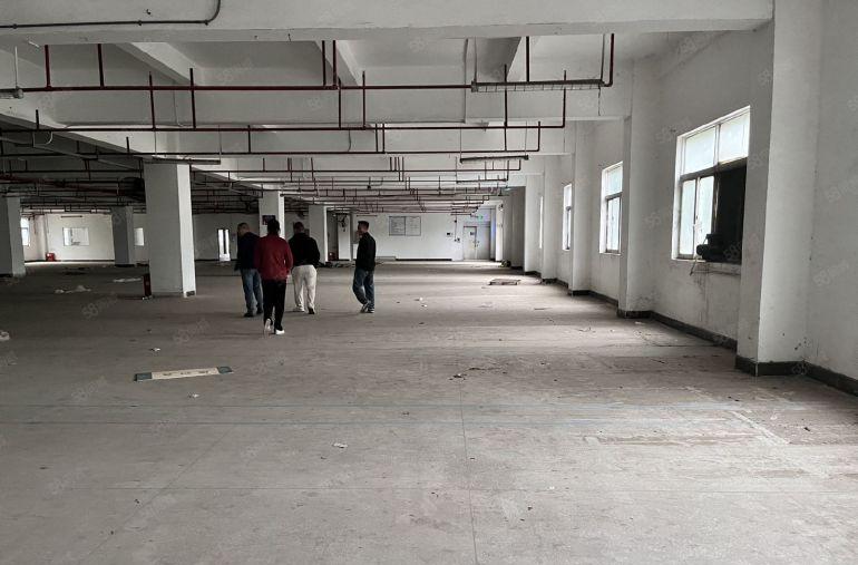 虎门赤岗新出独门独院2280平大园区靓厂房