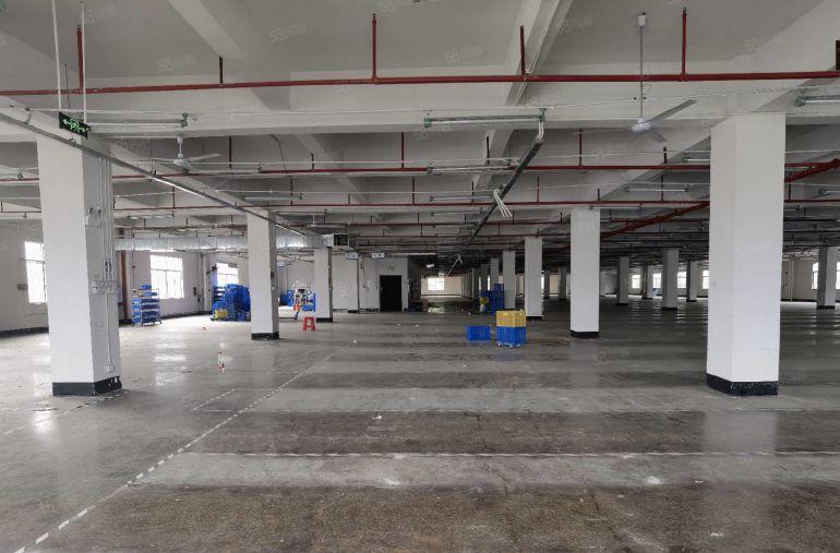 红本厂房清溪临近塘夏独院厂房30000平带月台喷淋大小可分租