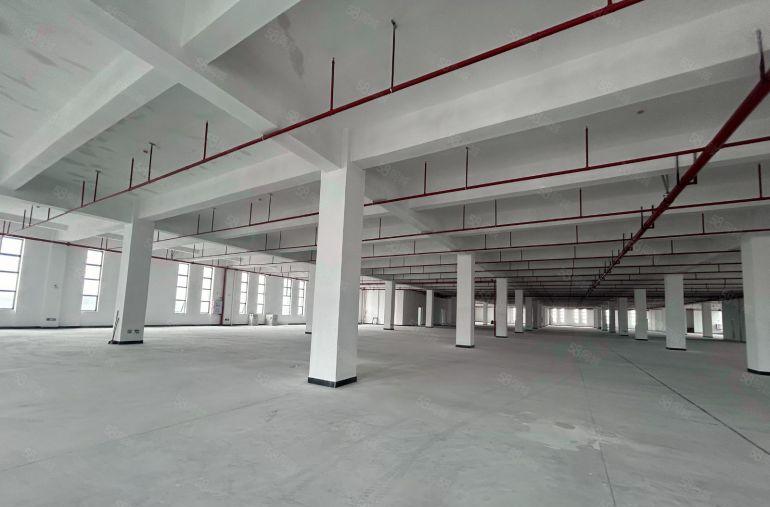 虎门红本厂房带消防喷淋20000方整租可分一租楼8米楼上6米