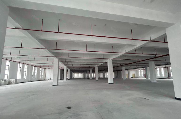 虎门红本厂房带消防喷淋20000方整租可分一租楼8米楼上6米