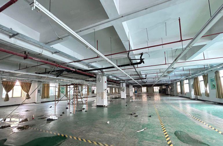 虎门独院厂房出租带现成水电装修空地可进出大车 实际面积出租